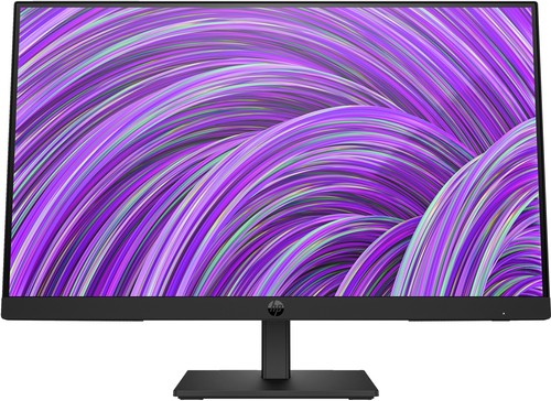 HP MONITOR 21