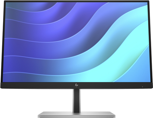 HP MONITOR 21