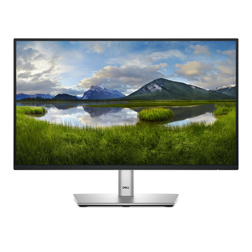 DELL MONITOR 21